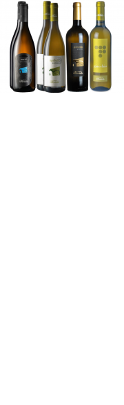 Mi'chicco&nbsp;/ passito&nbsp;
Umbria I.G.T.&nbsp;
Dall'appassimento su graticci e la successiva pigiatura con torchio manuale è nato&nbsp;Mi'Chicco, un passito Umbria I.G.T. dal colore dorato e brillante.&nbsp;
Pubblicato in "Vitae La Guida Vini 2025" di&nbsp;Associazione Italiana Sommelier&nbsp;-&nbsp;3 viti&nbsp;
2 calici ("Vini da molto buoni a ottimi") in Vini d'Italia 2023 - Gambero Rosso
*PORTA A CASA L'UMBRIA*
Dal 1&deg; al 30 aprile, scegli ed acquista liberamente tra tutte le etichette dei nostri vini e&nbsp;ricevi in omaggio:&nbsp;
- 1 bottiglia di&nbsp;Ripalbella Trebbiano Umbria IGT 2023&nbsp;con un ordine minimo di vino di&nbsp;&euro; 99,00&nbsp;(spese di spedizione escluse)
- 2 bottiglie di&nbsp;Ripalbella&nbsp;Trebbiano Umbria IGT 2023&nbsp;con un ordine minimo di vino di&nbsp;&nbsp;&euro; 149,00&nbsp;&nbsp;(spese di spedizione escluse)
Spese di spedizione gratuite sopra i &euro; 60,00.
&nbsp;